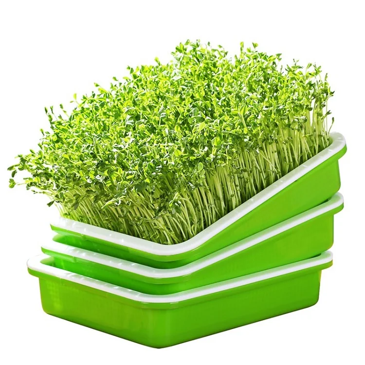 Plastic Hydriponic Flat Bean Sprouts Seedling Tray