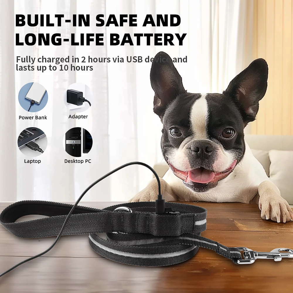 Professional Luminous Pet Product Manufacturer LED Light Up Dog Leash Safety Glow in The Dark Dog Lead Strap for Night Walking