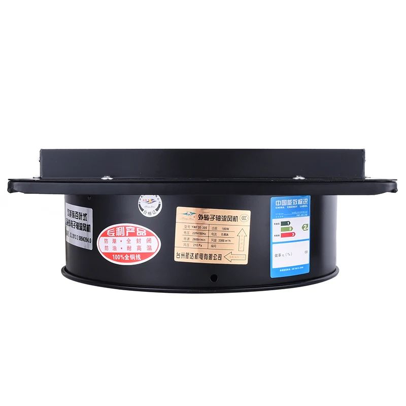 YWF2E-250 Air Louver diffuser Gravity louvred grill vent fan