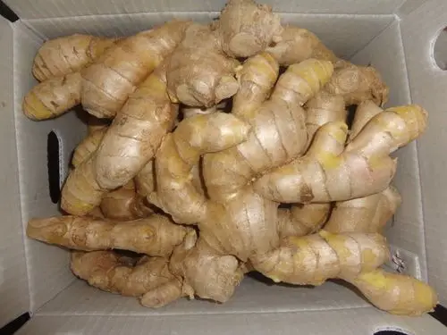 Organic ginger planting seasoned ginger  air-dried ginger