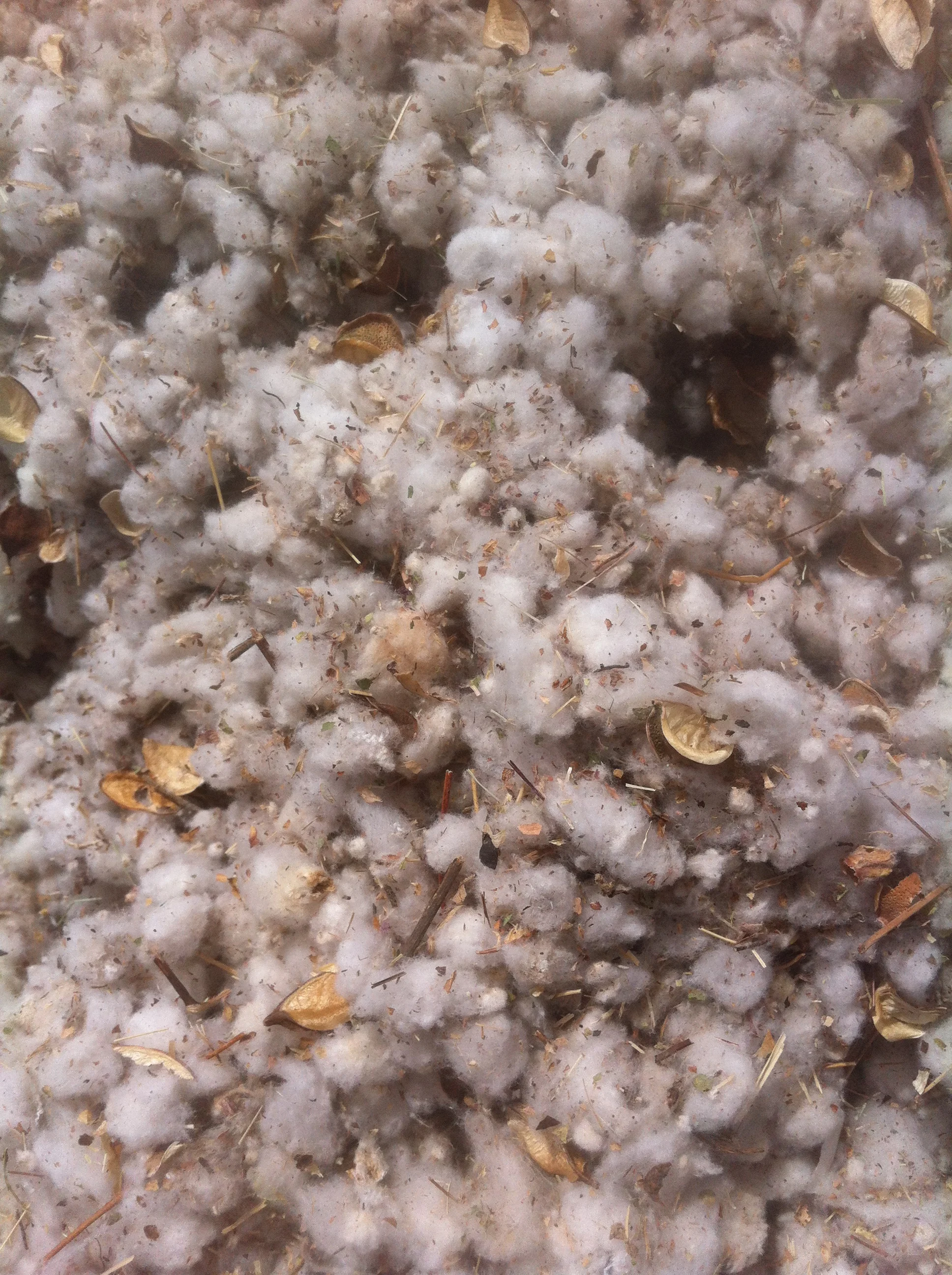 Airflow recovery machine recovers cotton fiber impurities