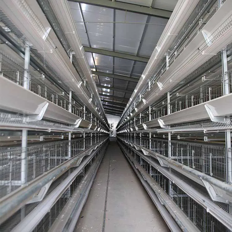Layer Chicken Farming Automated H Frame Type Battery 3 Tiers 4 Tiers Laying Hen Cage