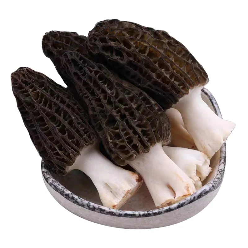 Свежий дикий гриб-Морель Detan, культивированный гриб