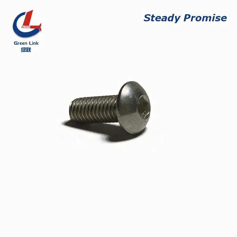 Stainless Steel Sealing Screw With Rubber Ring Ss304 Ss316 Button Head Sealing Screw