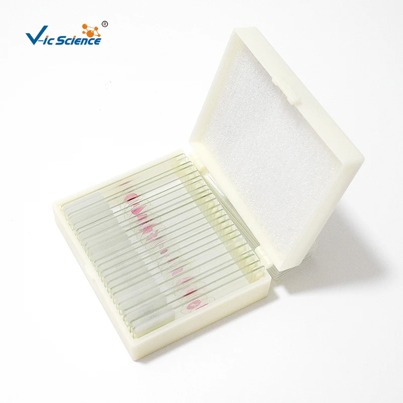 Medical biology laboratory human pathology preparation microscope slide specimen equipment