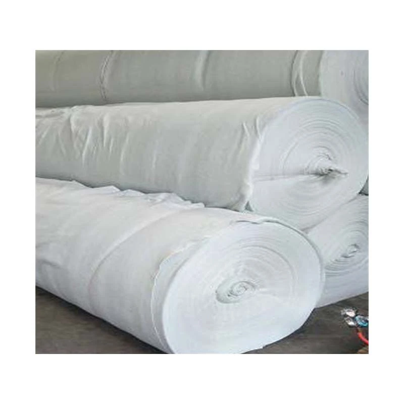 Non Woven Polypropylene Geo Fabric Needle Punch Nonwoven Knitted Geotextile High Strength Geotextile Separation Layer Fabric