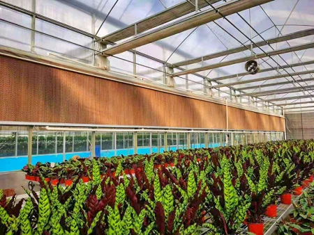 factory supply brown black 7090 5090 7060  Cooling Pad And Fan Cooling Systems For Greenhouse Poultry Farm