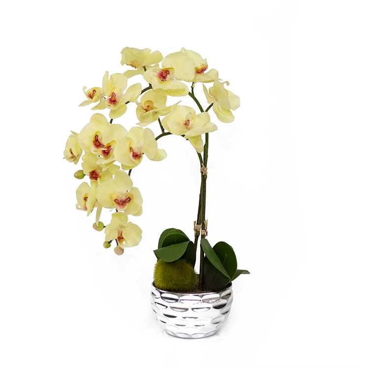 Home decorative yellow double branch phalaenopsis orchid artificial flower bonsai