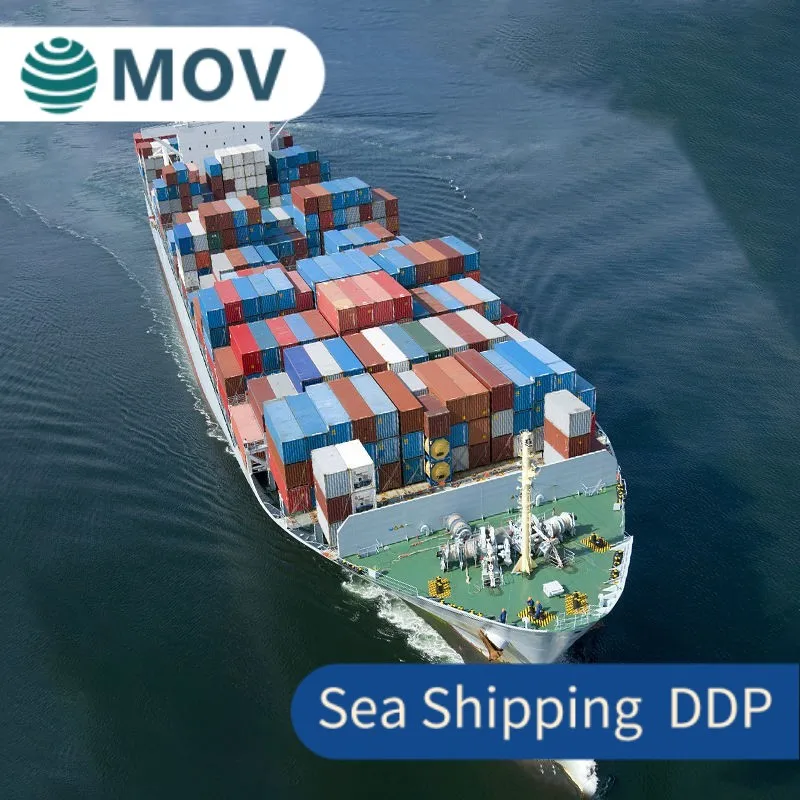 Freight Forwarder Ocean Shipping Agency Sea Freight Agents From Shenzhen To USA AMAZON ONT8/LGB8/LAX9