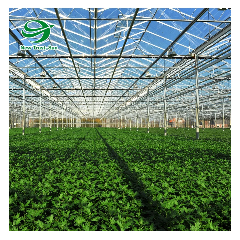 
Agricultural Vegetable Intelligent Glass Greenhouse with Hydroponics System Price 