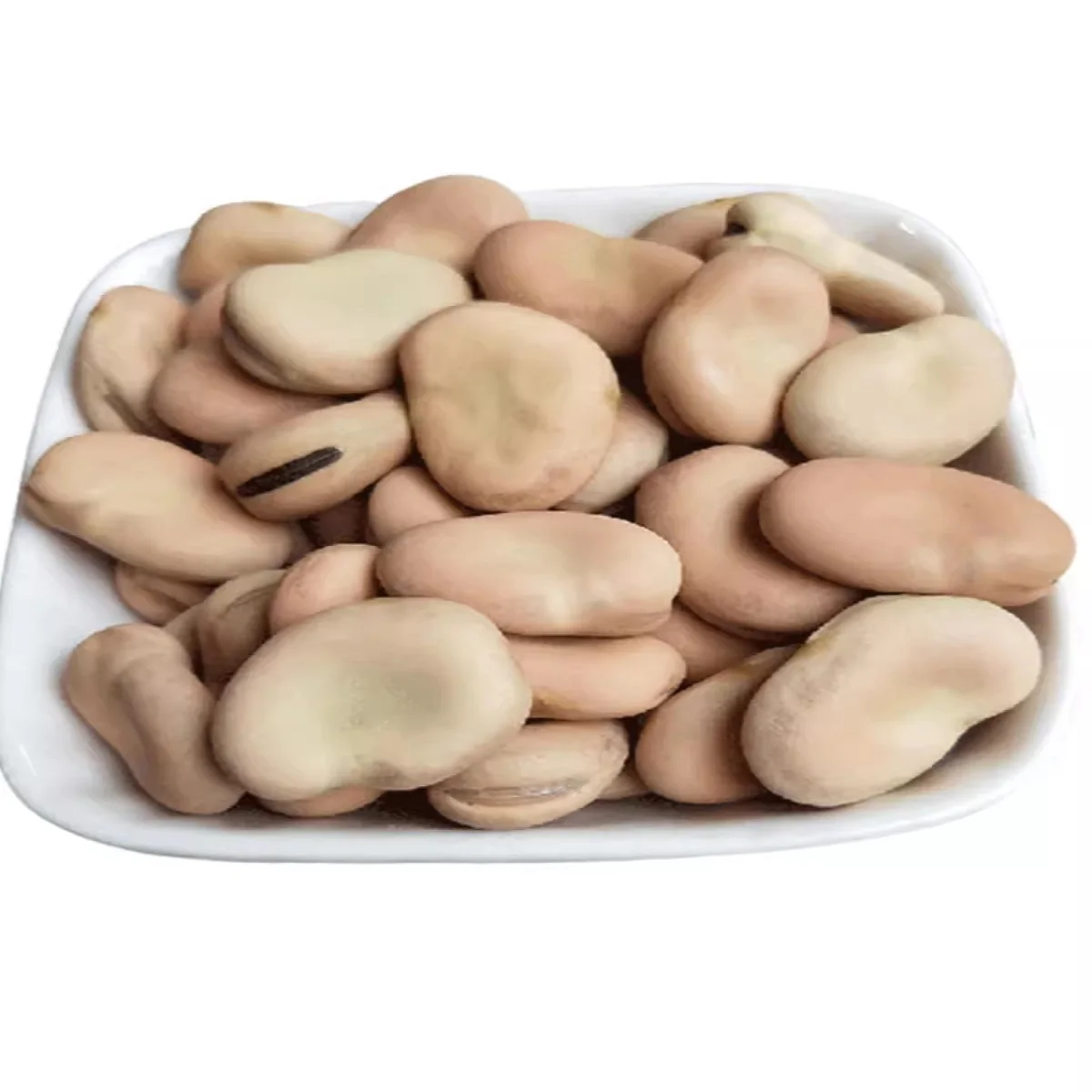 New Crop Fava Beans Highest Quality Bulk Dried Broad Beans in Qinghai for Canned Food