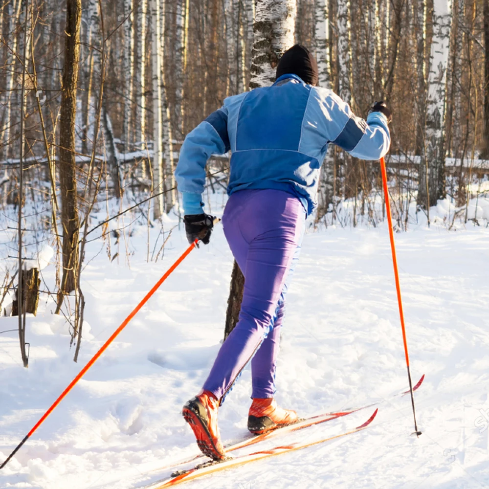 Brand partner manufacturer cross country alpine ski poles/nordic ski pole