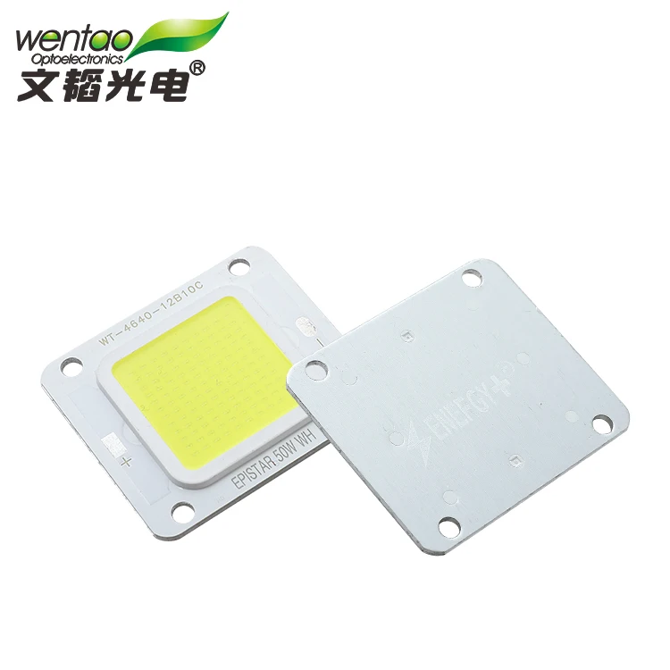 Bridgelux 1530 Chip High Product 50W 60W Smd Led Light For Outdoor landscape lighting