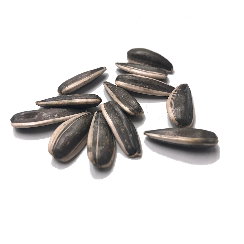 
Cheap wholesale raw sunflower seed 