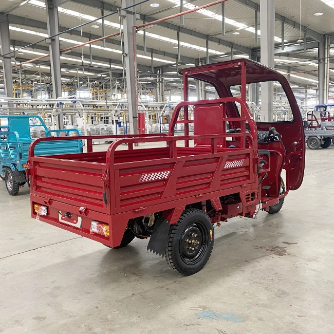 Tanzania Gasoline Engine 200 CC Water-cooled Cargo Tricycle With Awning