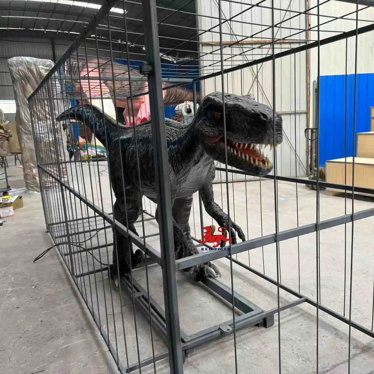 2.4.jpg