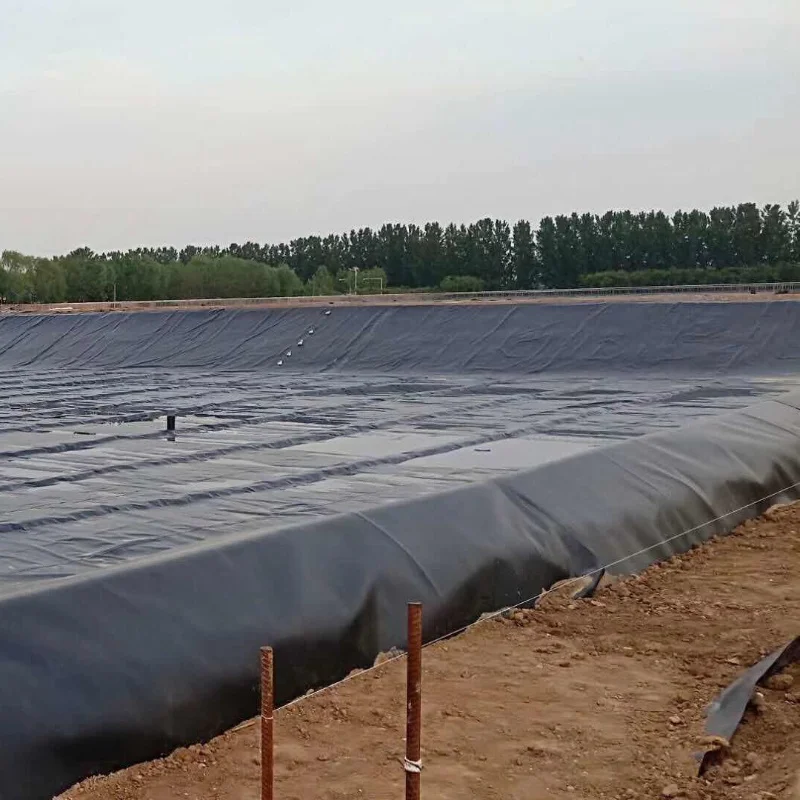 HDPE Waterproof Geomembrane Film for Root Blocking and Anti-Seepage of Golf Courses and Sports Field Runways HDPE Geomembrane