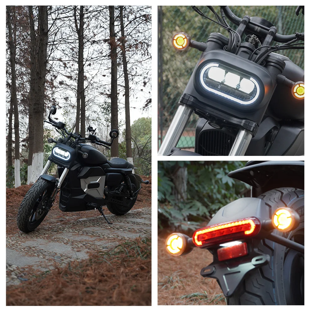 High Speed Custom Electric Racing Motorcycle Eec Coc 8000W 90Km/H Fast Electric Motorcycle for Adult