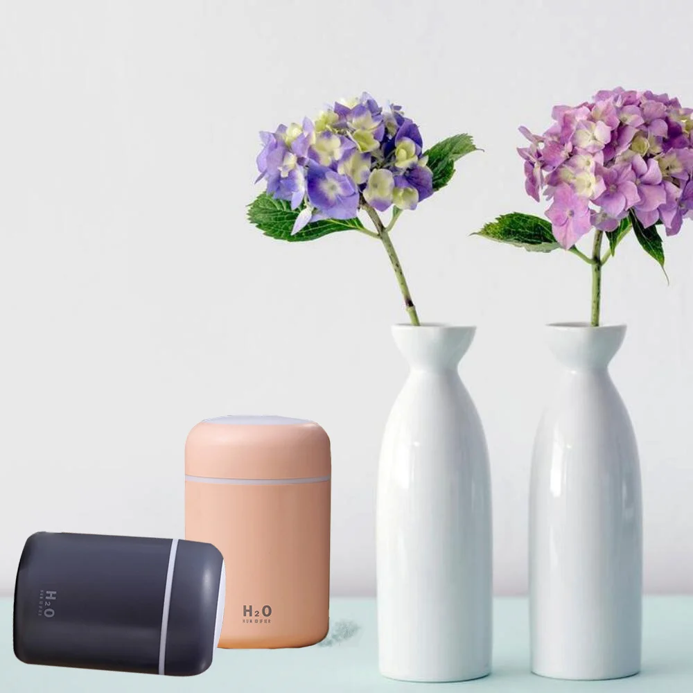 mini aroma h2o the homedics knorr aromat ultrasonic fragrance humificador europe deerma humidifier diffuser
