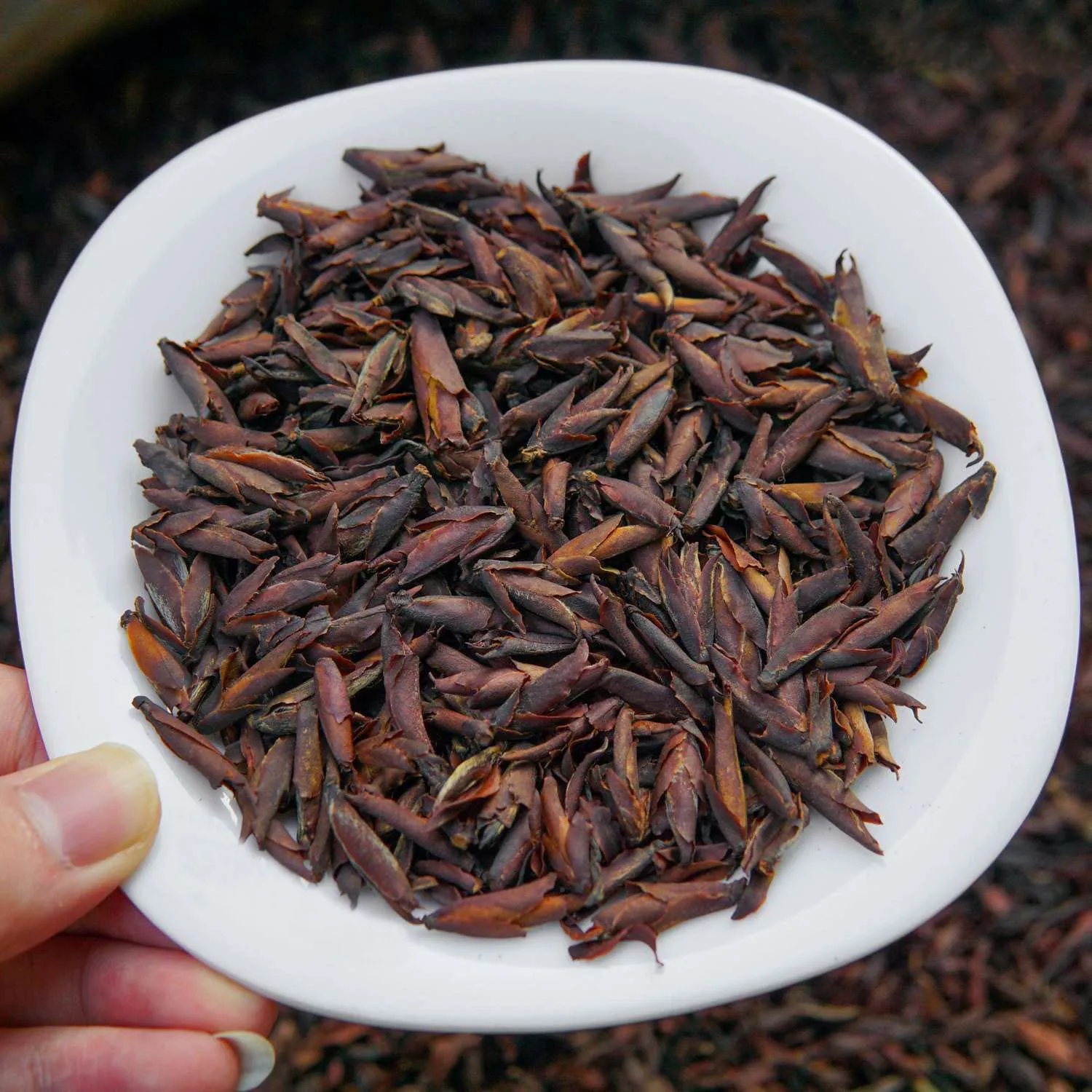 Yunnan famous black tea yunnan ya bao hong cha natural red tea OEM order