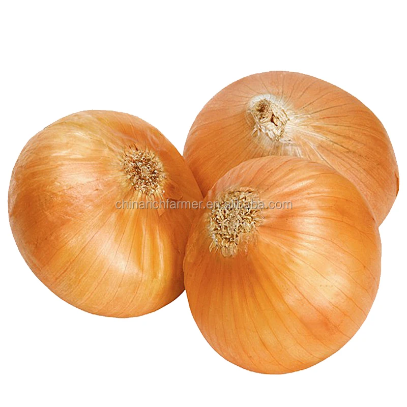 Fresh Onions From China High Quality Onions supplier