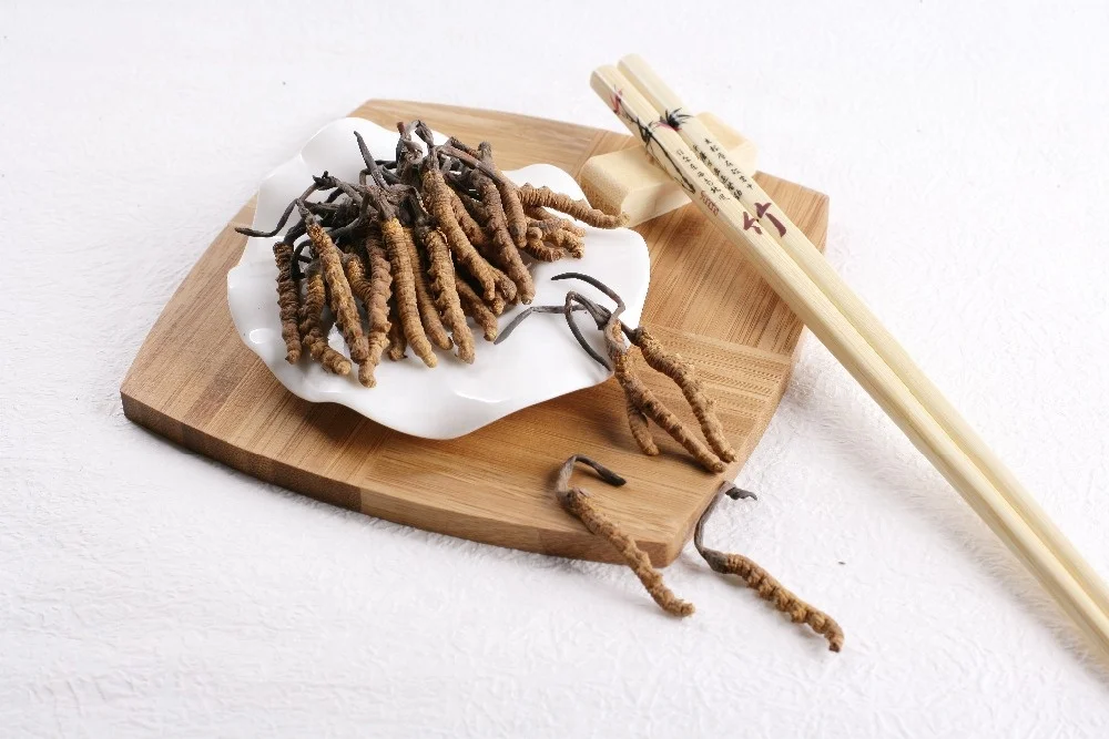 Supply High Quality Nature Cordyceps Sinensis Extract Powder Dried Cordyceps Sinensis
