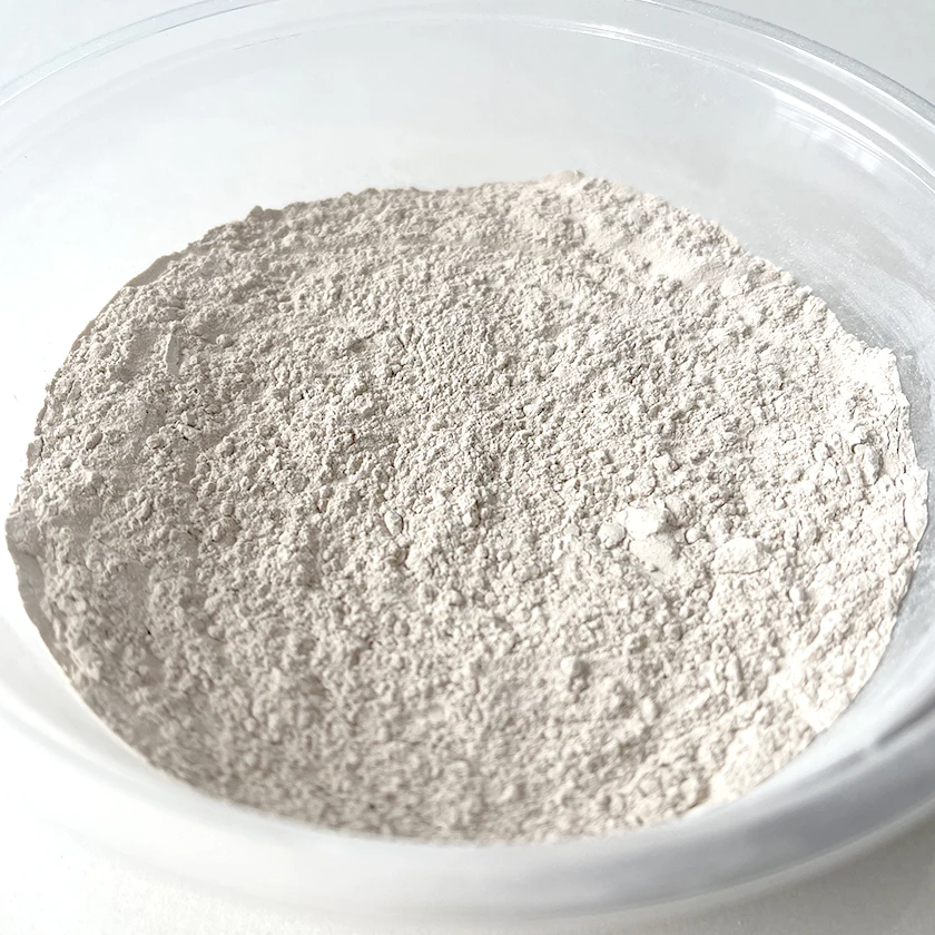 montmorillonite powder
