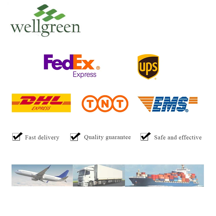 Wellgreen Factory Supply Natural 98% Chlorogenic Acid Flower Cas 327-97-9 Honeysuckle Extract Chlorogenic Acid
