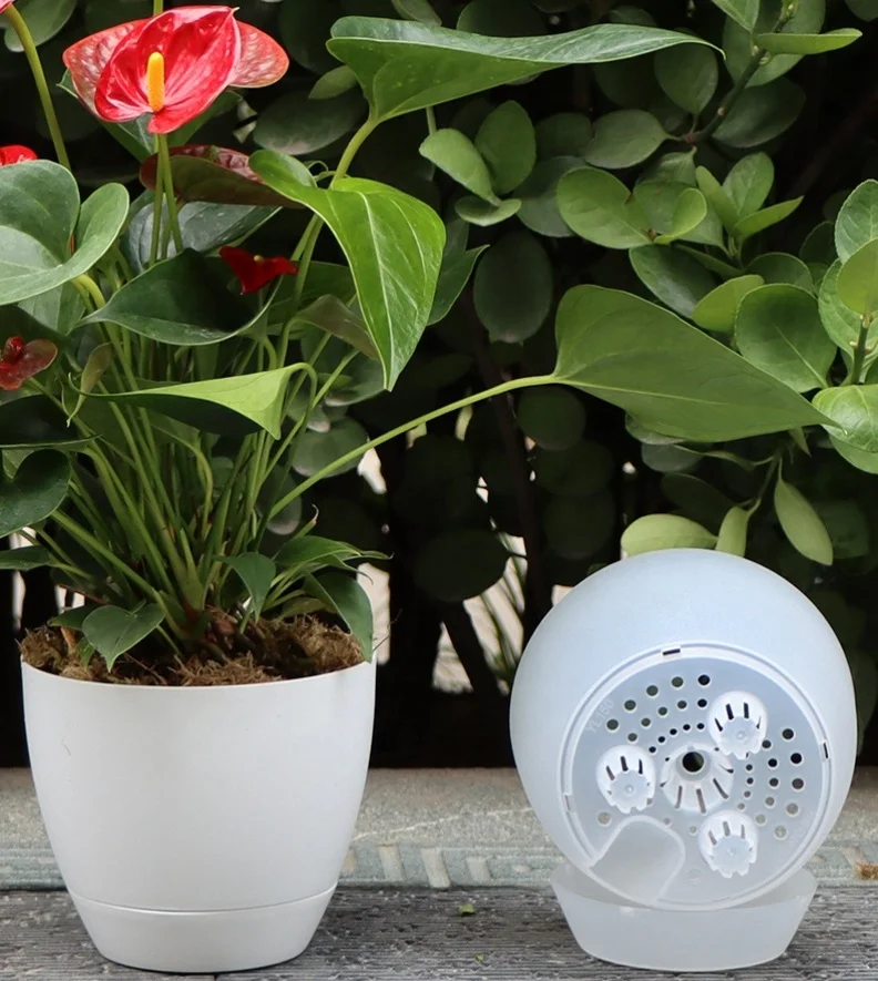 Clear Self Watering Pots for Indoor Plants Plastic Transparent Orchid Plant Pots with Drainage Holes