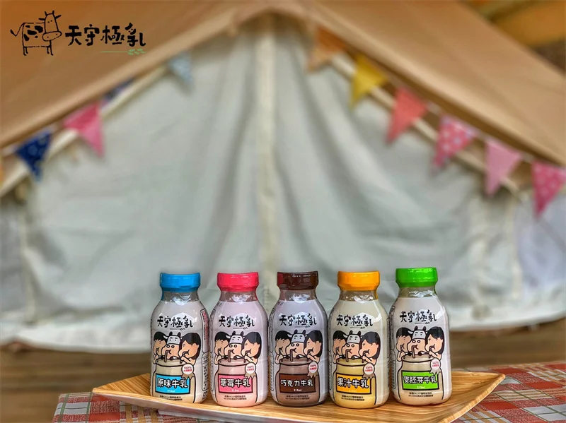 Wholesale Price Chocolate Healthy Nutritious Milk Chocolate Drink Chocolate Milk for Mixed In Beverage