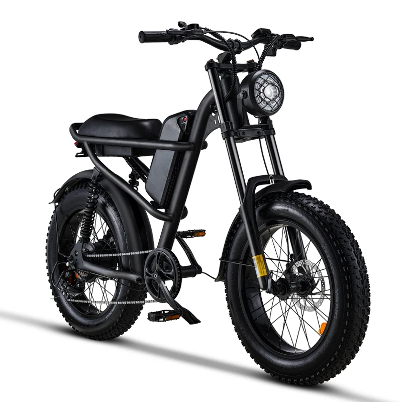 EU Warehouse Fat Tire Electric Bike 20inch Foldable E bike Price 750W Motor 15AH Battery Electric Bicycle