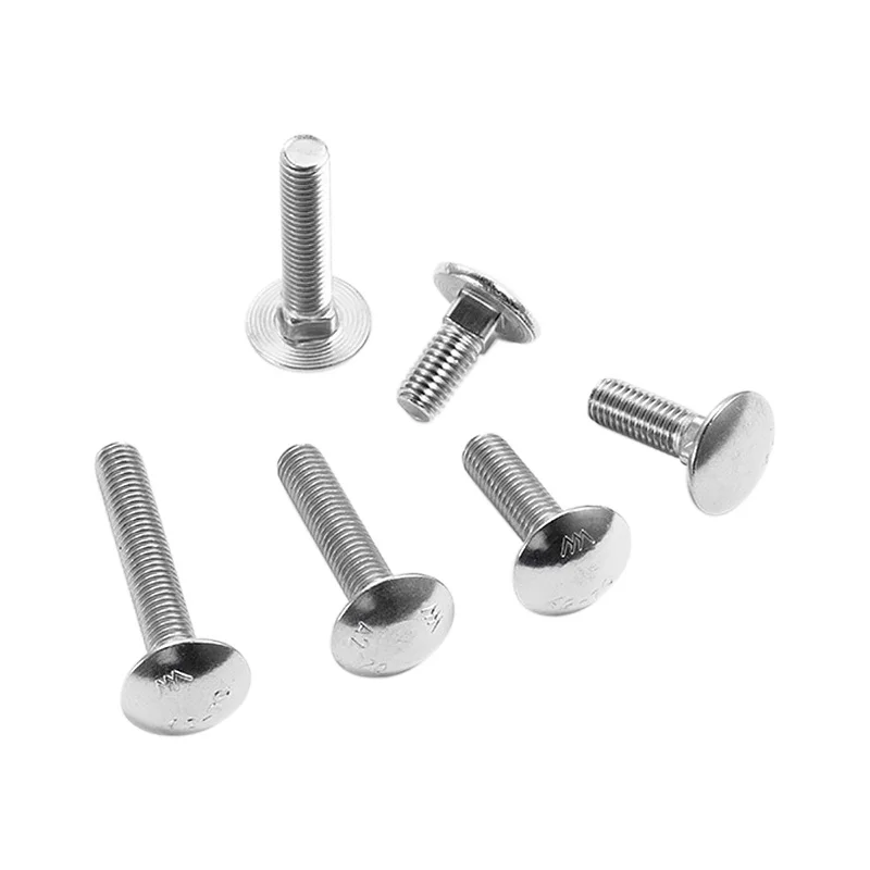 High quality price concessions DIN603 SS304 Coach bolts industrial use Coach  bolts