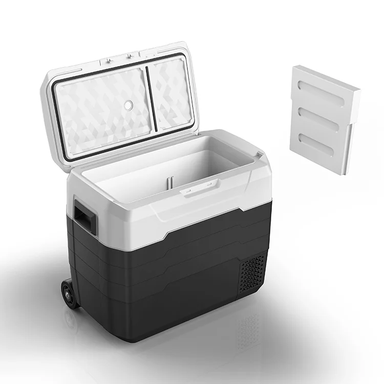 Dual Zone OEM Plastic AW52 Vaccine Cooler Box Medical Cooler For Medical Car boat Use