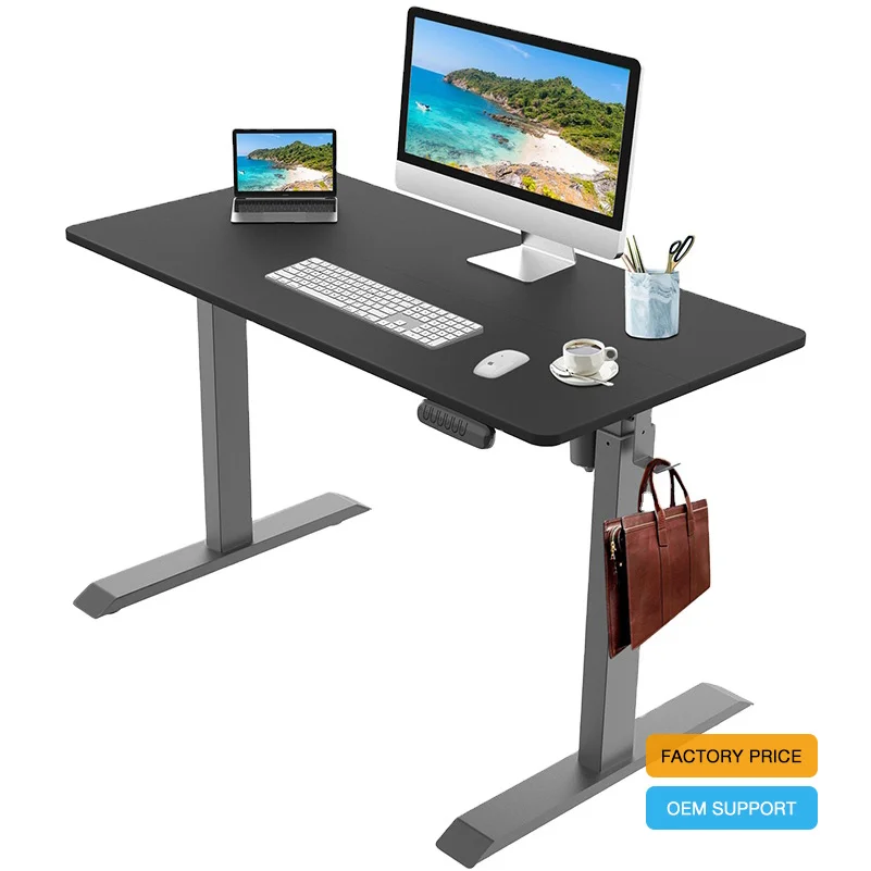 Ergonomic Electric Height Adjustable Standing 120 x 60 cm Computer Desk & Workstation Table Sit Stand Up Desk