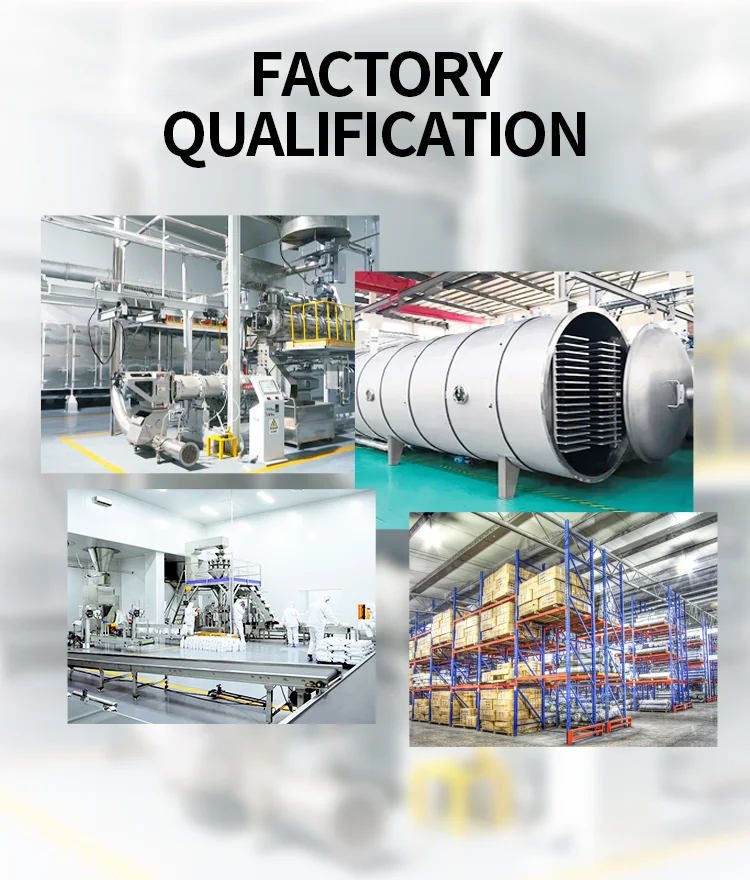 Factory Customized Pet Snacks Chicken Tuna Salmon Fresh Meat Cat Food