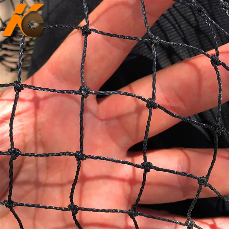 Factory Knotty nylon monofilament  Single wire anti bird net  fish pond  mesh netting