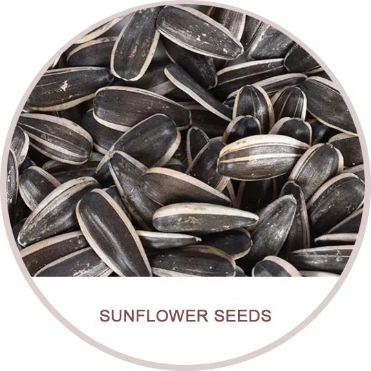 
Raw Chinese Wholesale sunflower seeds jumbo 