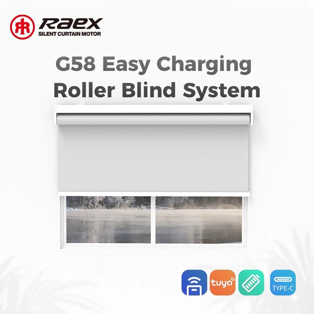 Day And Night Double Layer Tube Motor For With Solar Cells Tubuar 24 Vdc Alexa Smart Electric Blinds Motorized Roller Shade