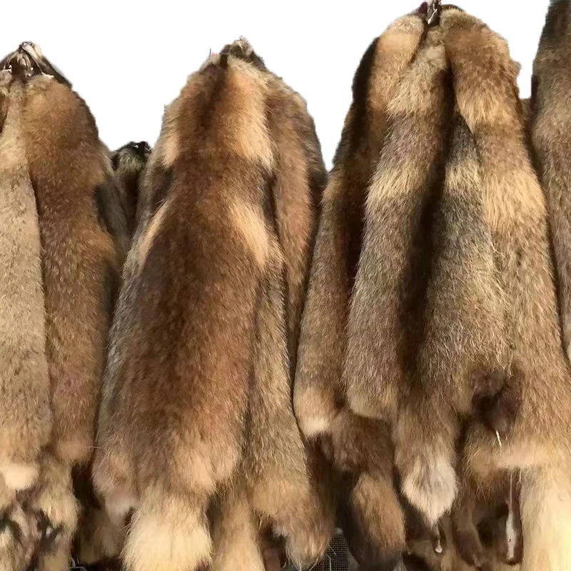 Мех енота шкура мех HideReal мягкий пушистый енот skinAmerican raccoonracoon кожа