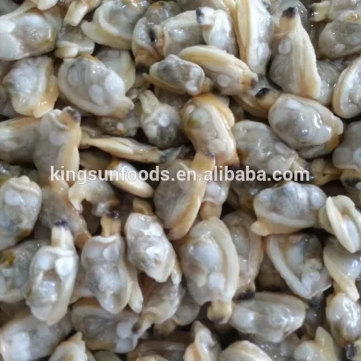 Frozen Short Neck Clam Meat for Sale High Quality