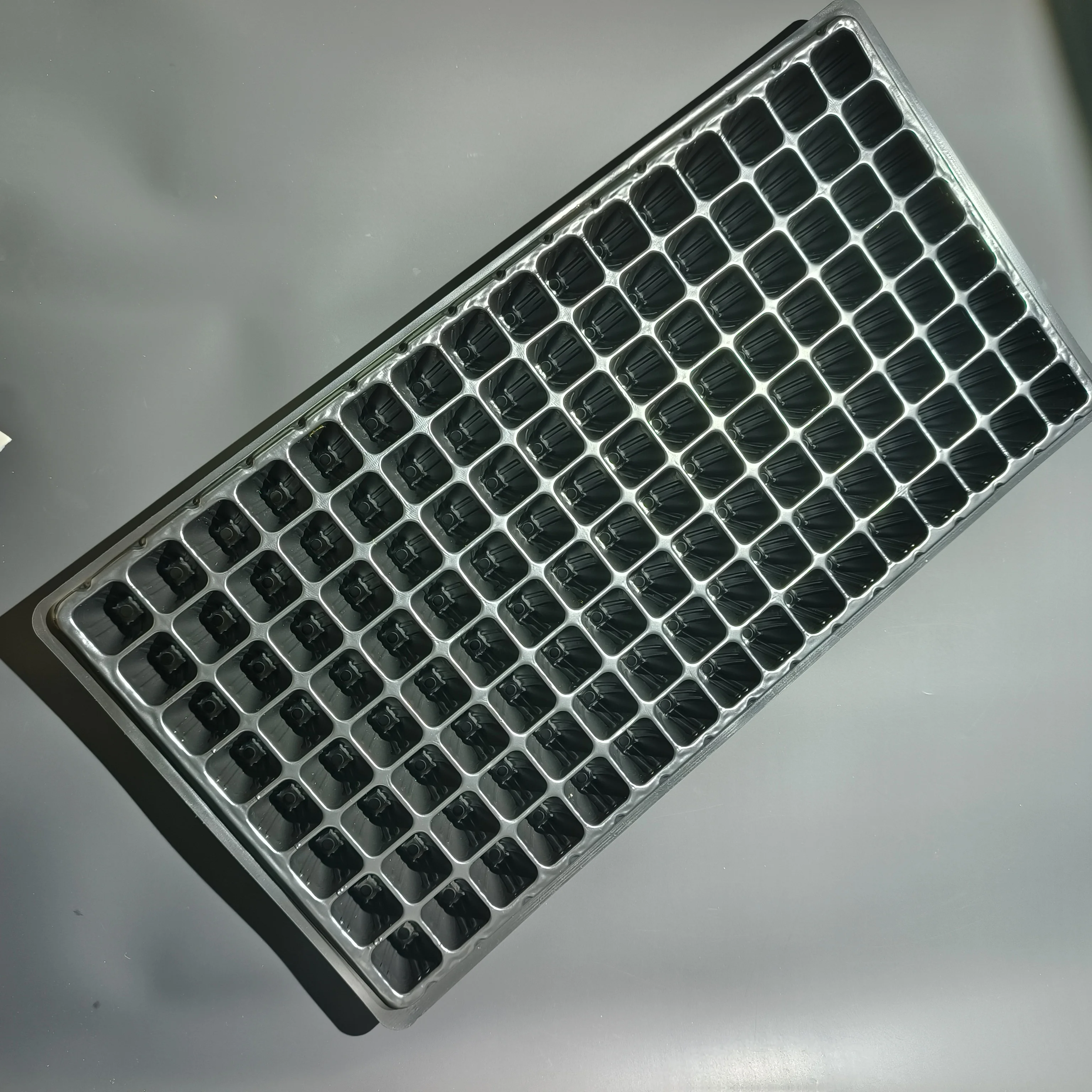 Chinese factory seedling tray 200 cell vegetable seeding for agricultural