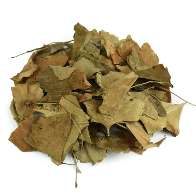
Natural 100% ginkgo biloba leaves 
