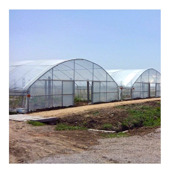 Single-span tunnel greenhouse buy