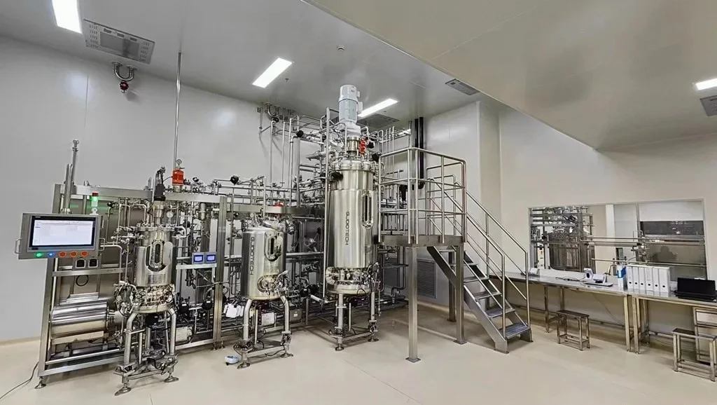 Tinzyme BsaI GMP Grade Restriction Endonucleases Derived from Bacillus Thermophilus High Quality Chemical Reagents