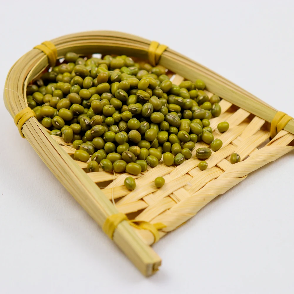 
Prime quality green mung beans for sprouting,mc,2019 type, oil seeds 