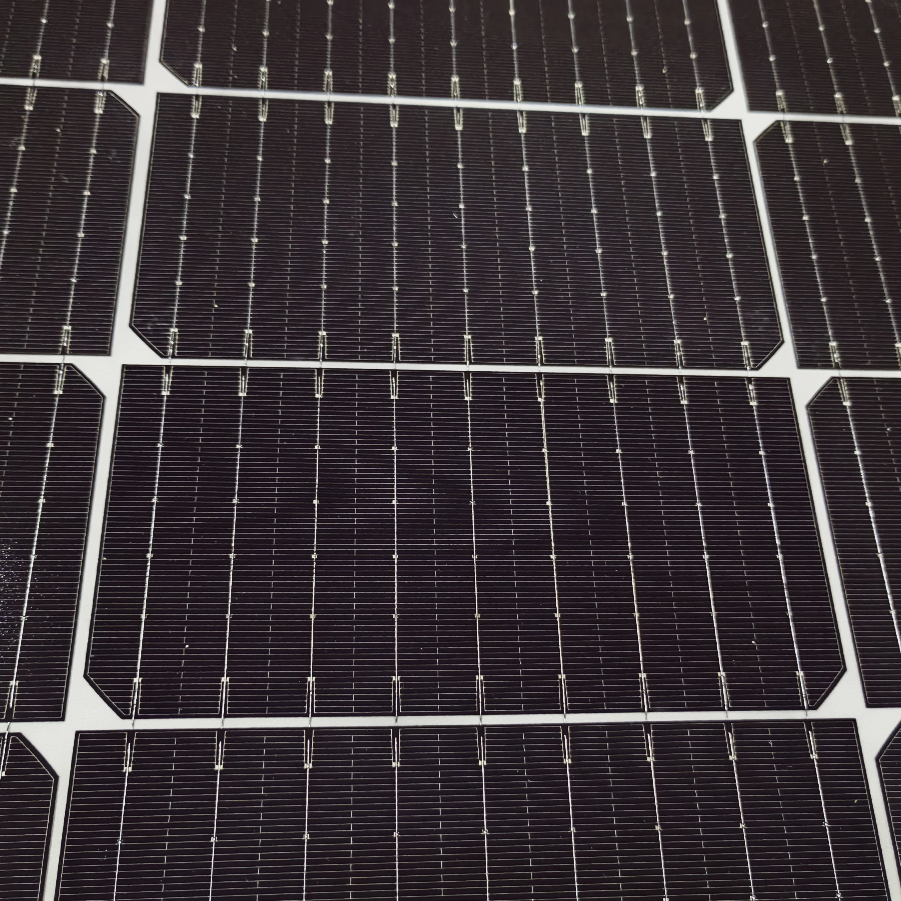 Wingosolar High Efficiency Solar Power Panels 550W Mono Solar Panel For Home Electricity