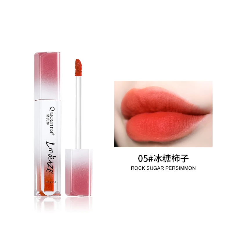 Long Lasting Waterproof Lip Gloss Matte Liquid Lipstick, Non-Stick Cup Not Fade Velvet Lip Glaze OEM Private Brand Cosmetics