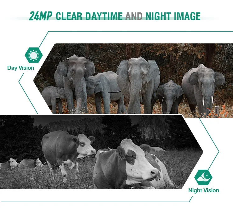Free APP Control 24MP Night Vision Digital Camera For Hunting Outdoor Animal Camouflage Camera