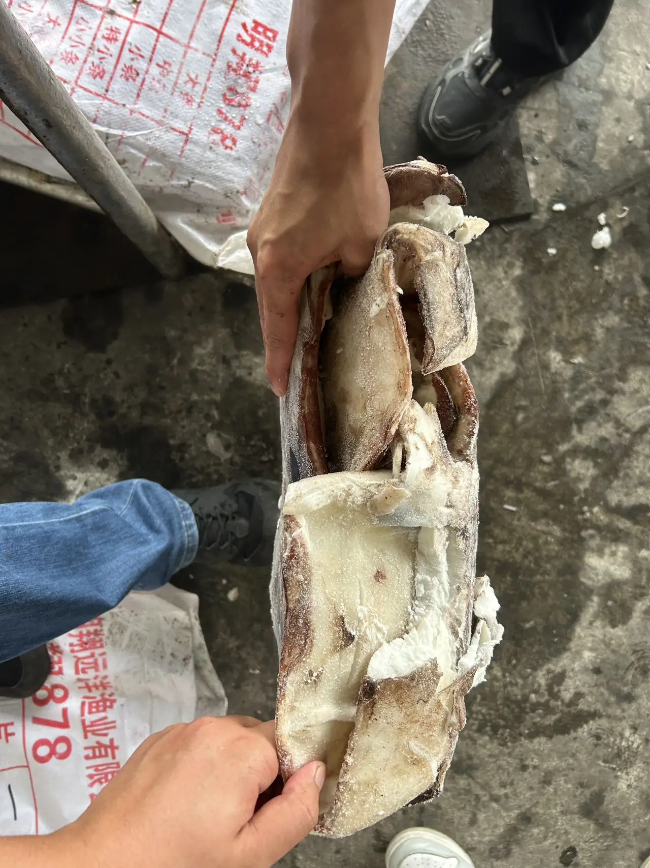 Skin on Peru squid dosidicus gigas  fillet With skin Peru Squid fillet with skin