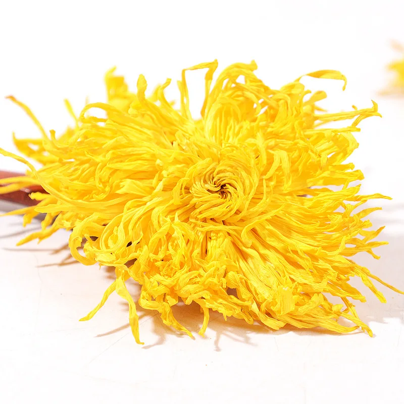 Wholesale High Quality Chrysanthemum Flower 100% Natural No Pigment Chrysanthemum Tea